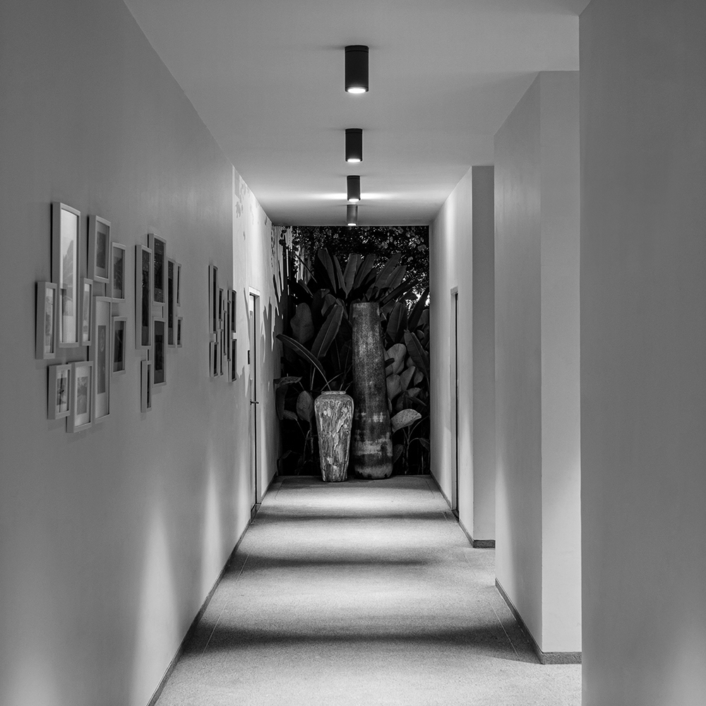 CEILING MOUNT LIGHT