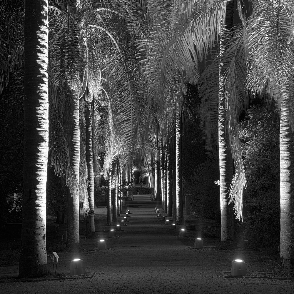 ON GROUND LIGHT