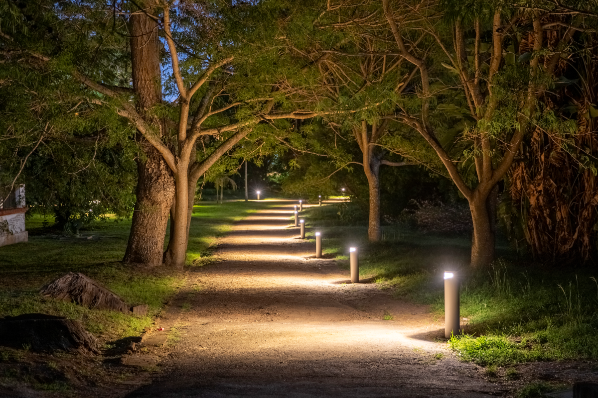 THE BOTANICAL GARDEN