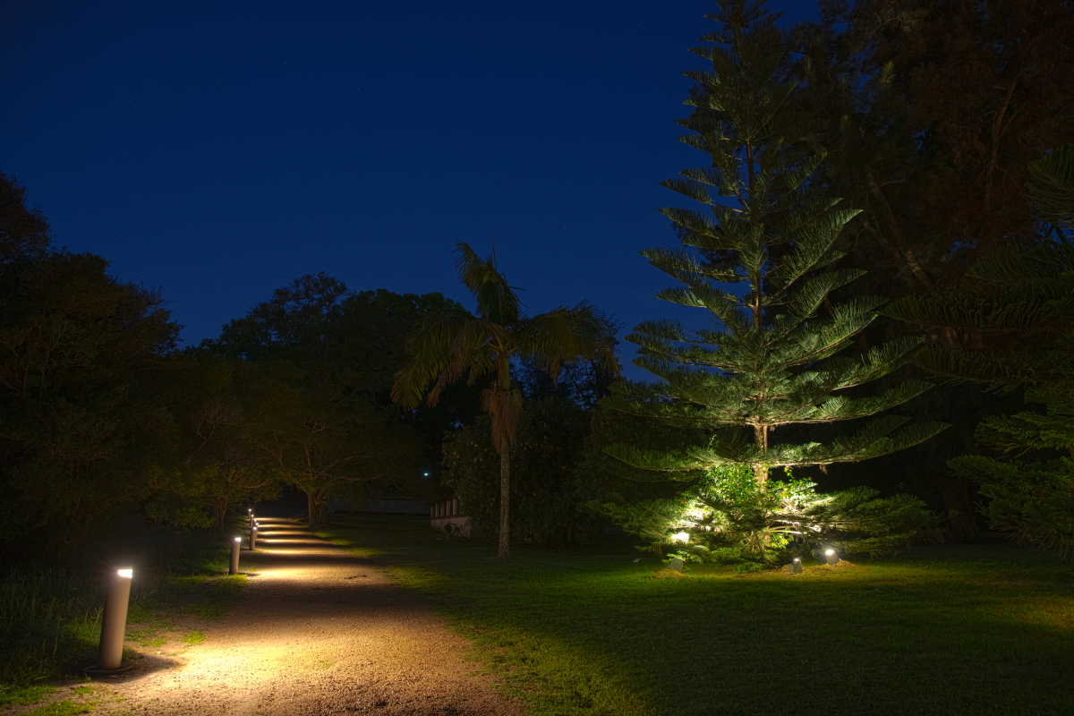 THE BOTANICAL GARDEN