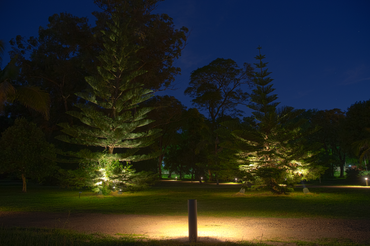 THE BOTANICAL GARDEN