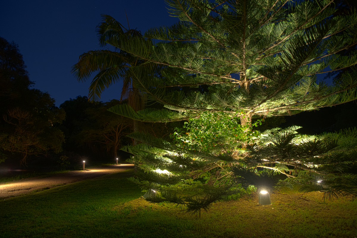 THE BOTANICAL GARDEN