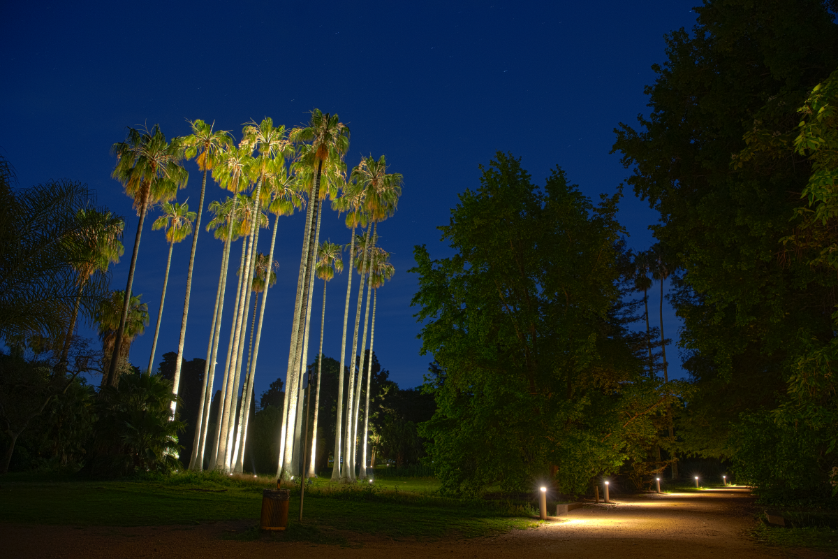THE BOTANICAL GARDEN
