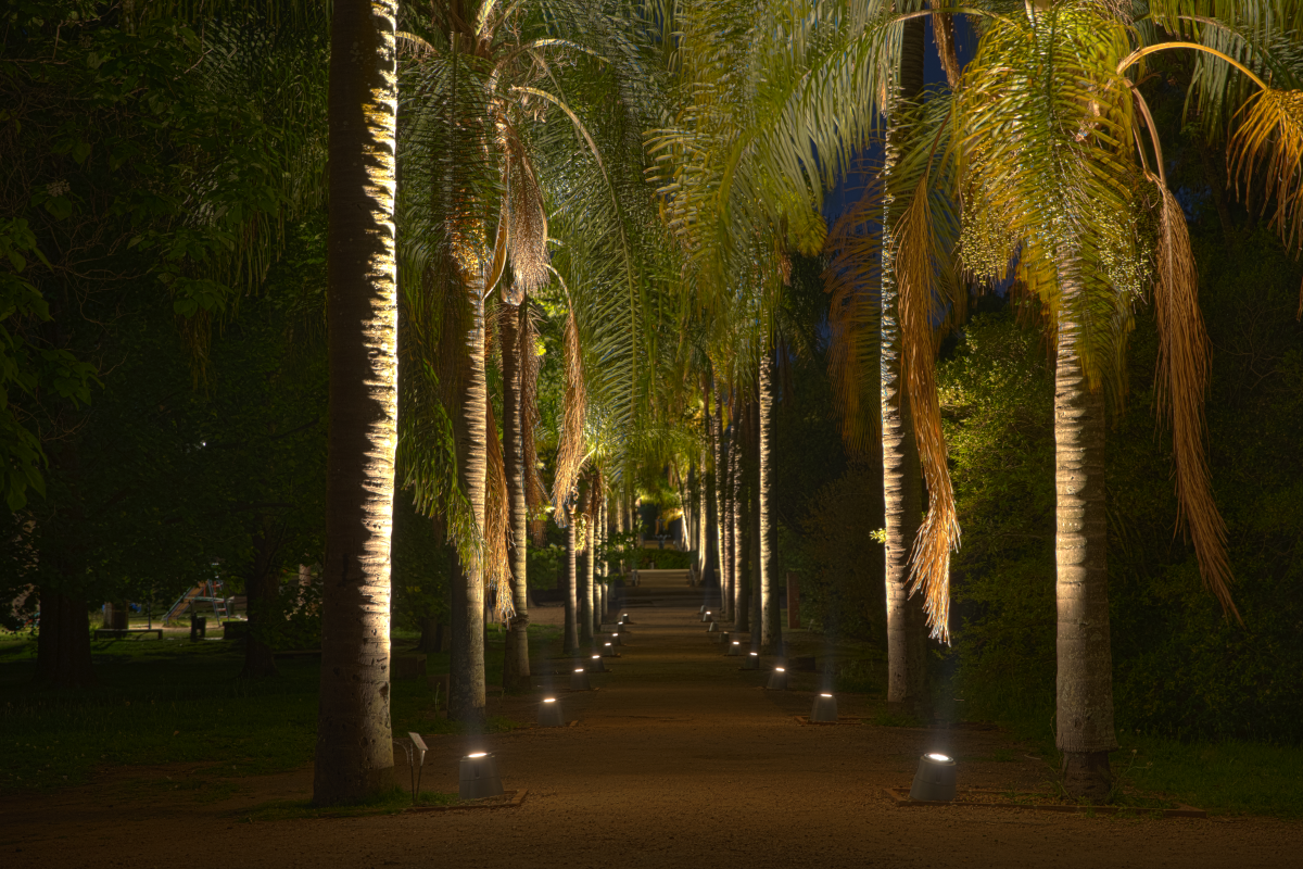 THE BOTANICAL GARDEN