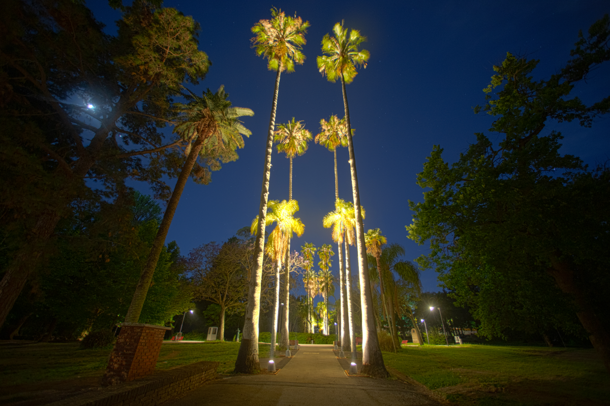 THE BOTANICAL GARDEN