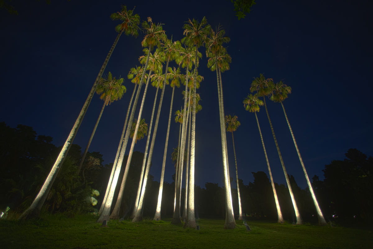 THE BOTANICAL GARDEN