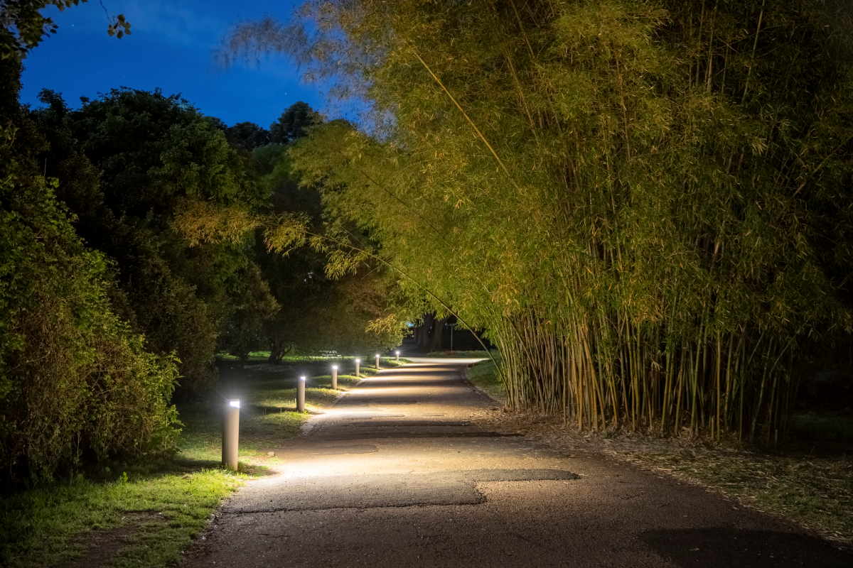 THE BOTANICAL GARDEN
