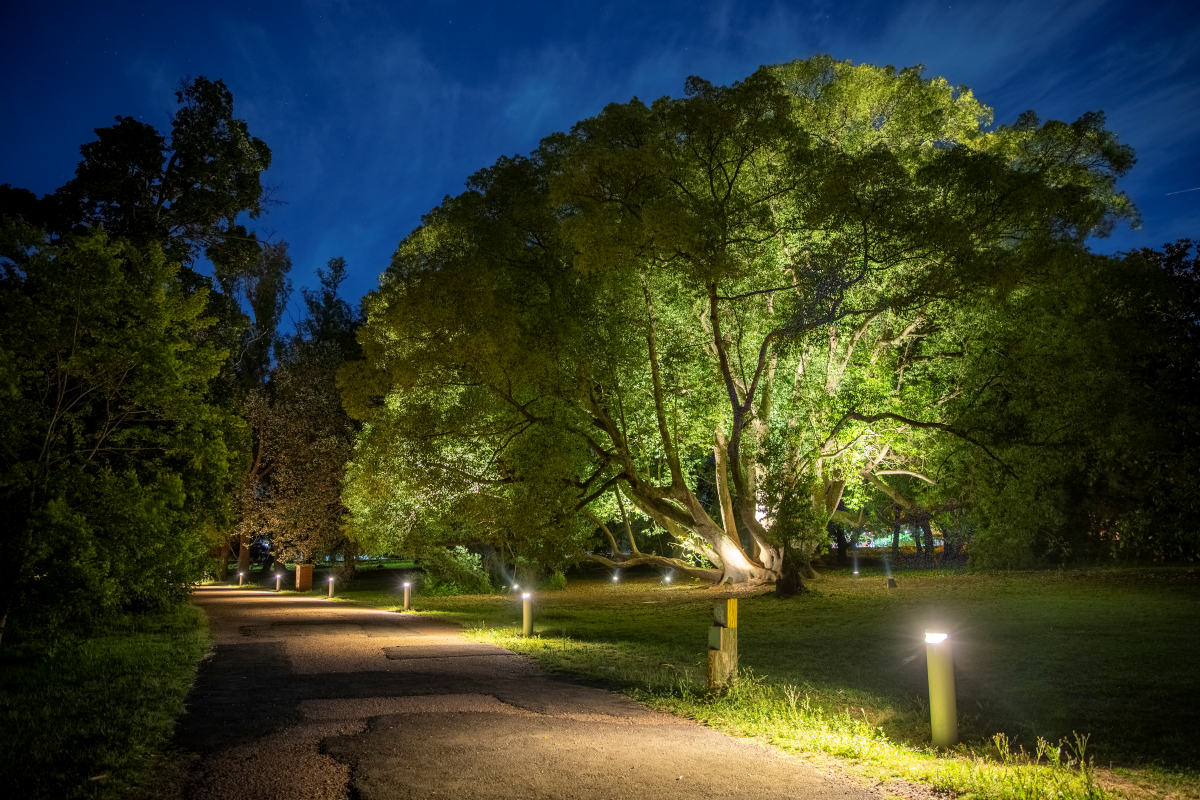THE BOTANICAL GARDEN